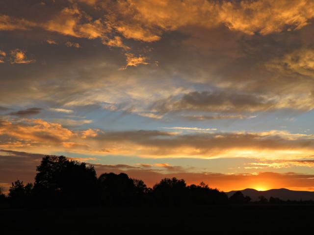 Sonnenuntergang über der Haardt | Foto: Brigitte Melder
