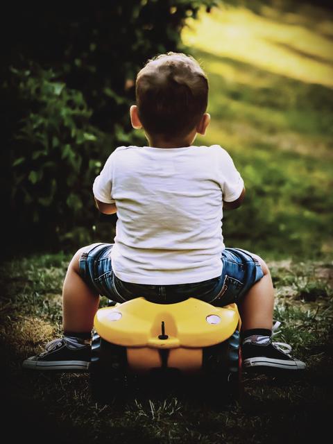 Entscheidungen über Entscheidungen /  September 2019