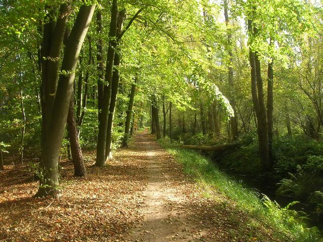 Radweg nach Speyer
