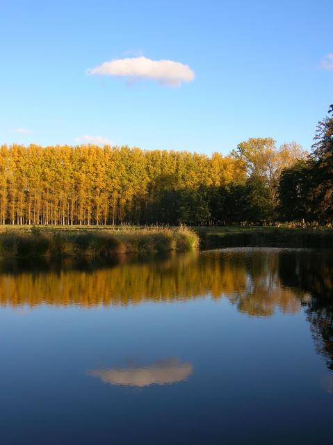 Biotop bei Geinsheim