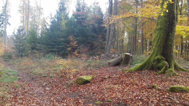 Unger / Wanderweg zur Hellerhütter / 2018