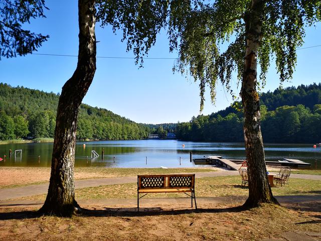 "Carpe diem"... Schnappschuss gegen Abend... irgendwann im Sommer (Juli/August) 2019, am gelterswoog. 