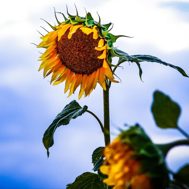 Der Sommer geht zu Ende 