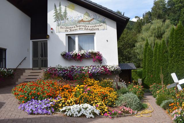 Die Blumen im Vorgarten von Kurt Schneider sind für's Auge schön und für Bienen und Insekten nützlich.  | Foto: B.Bender