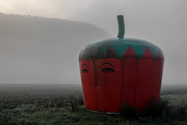 Nebel am Morgen im Oktober, Landstuhl