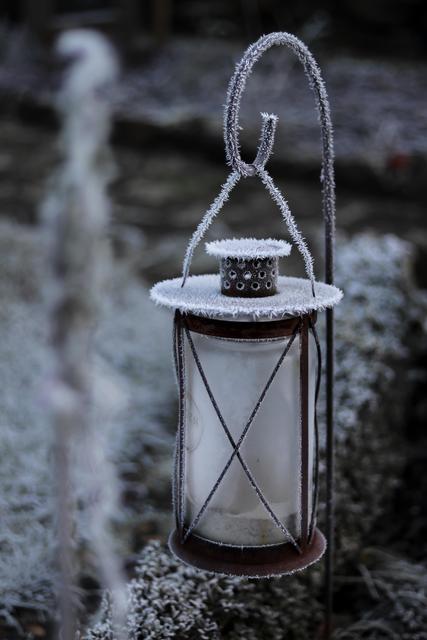 Laterne im Garten voller Eiskristalle, Dezember Landstuhl