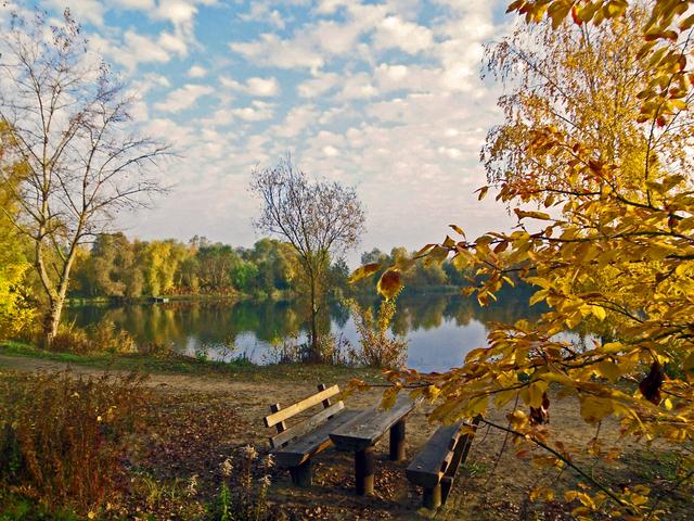 Oktober
'Wenn der Herbst seine Farben verliert, kommt erst der wahre Herbst' (jochen günther).
Foto: am Wehlachweiher II, Haßloch