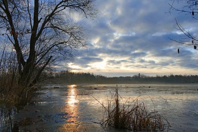 Februar
Gefrorene Sonnenstrahlen am Wehlachweiher II, Haßloch;

