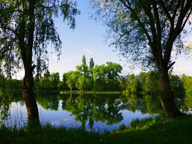 Mai
Niederwiesenweiher bei Iggelheim