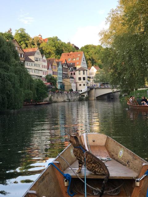 Tübingen im Spätsommer