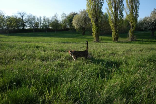 Nahe Grünwettersbach im Sommer