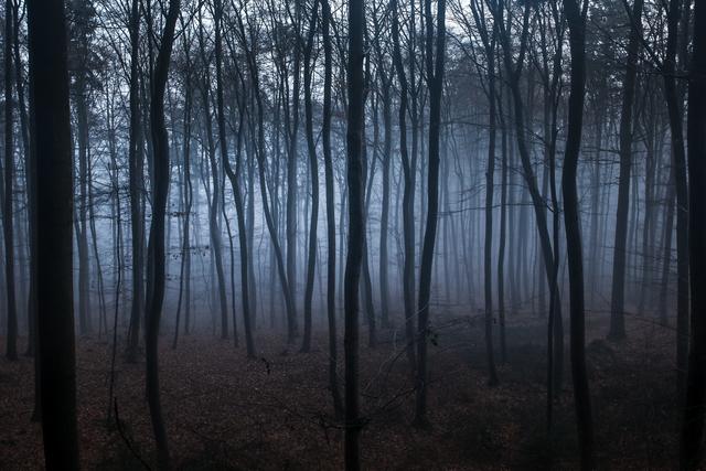 Mystischer Wald am Donnersberg, Winter