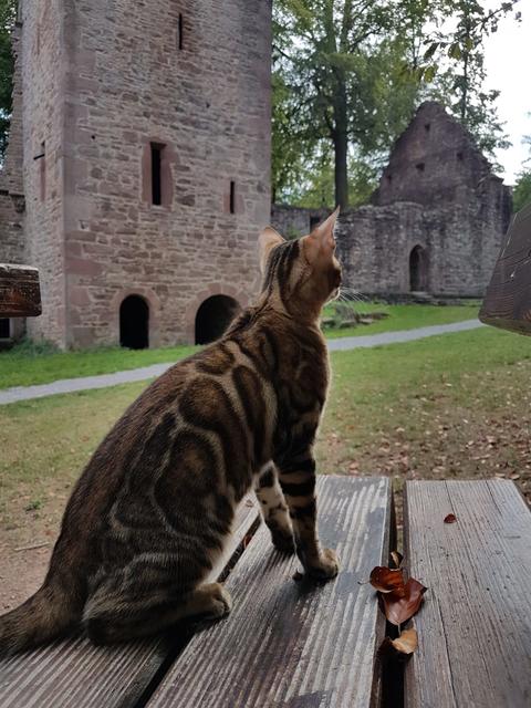 St. Barbara bei Langensteinbach im Sommer