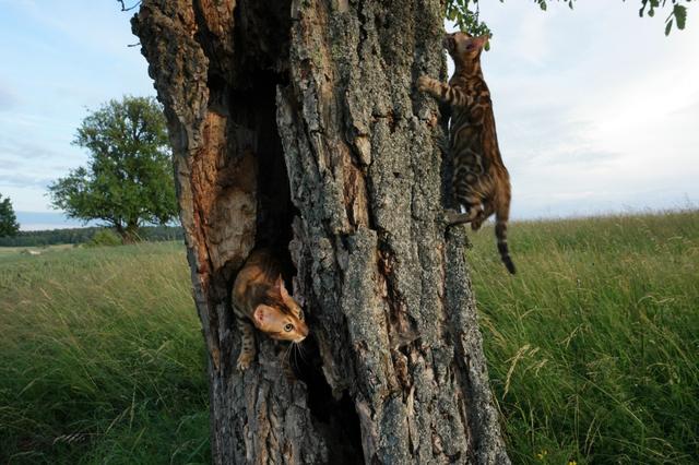 Nahe Stupferich im Sommer