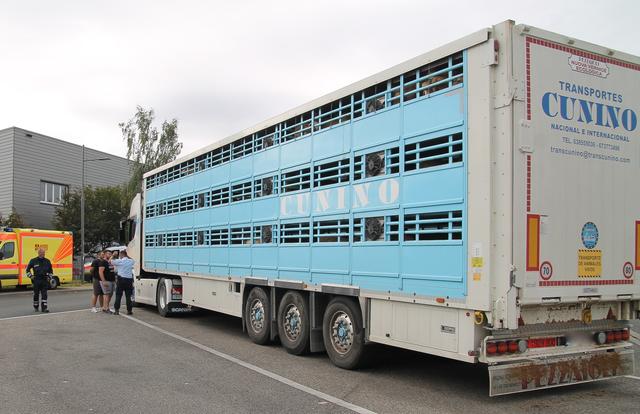 Neben Papieren und technischer Sicherheit geht es hier auch um den Tierschutz | Foto: Heike Schwitalla