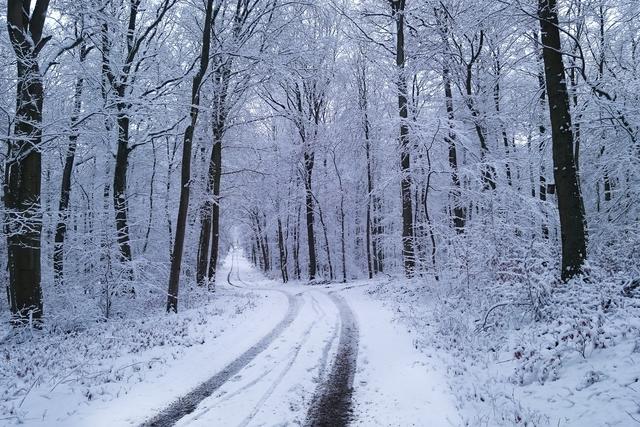 Winter auf dem Stahlberg