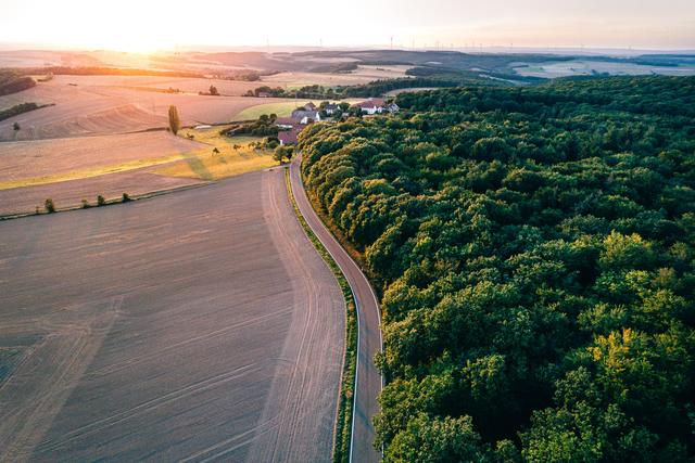 Blick auf den Neubau, Stahlberg, Sommer