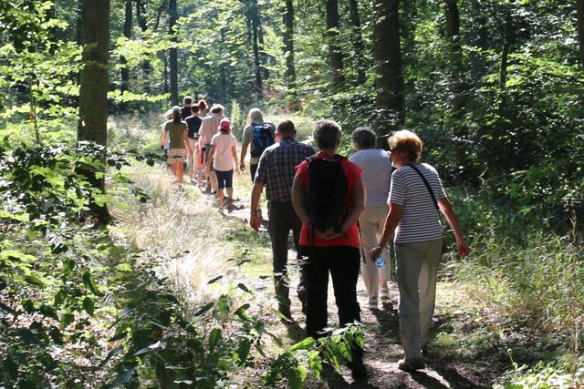 Die Fledermaus-Wanderung führte durch den Kirchheimbolandener Wald. | Foto: Albert Morwig