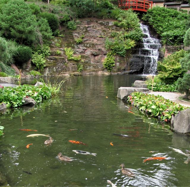 Japanischer Garten