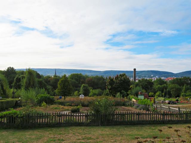 Toller Blick auf die Kammgarn und die Naturgärten | Foto: Brigitte Melder