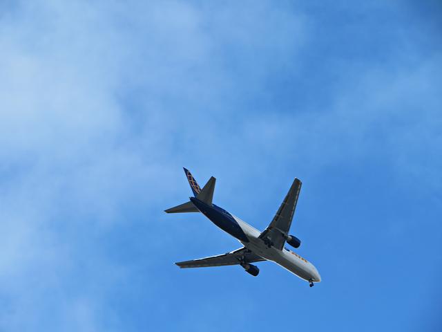 Gefühlte 200 Meter über unseren Köpfen | Foto: Brigitte Melder
