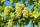 Treffpunkt ist die Ortsvinothek "Weinkammer" | Foto: Oouleur/Pixabay