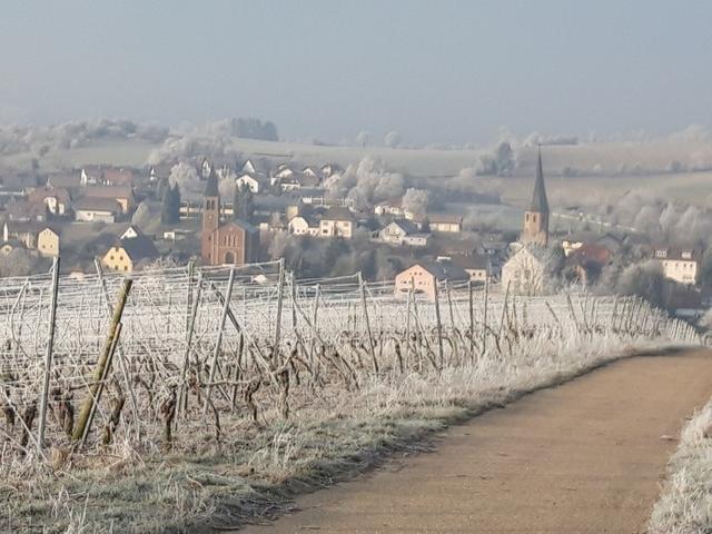 Januar 3 | Foto: Achim Bauer