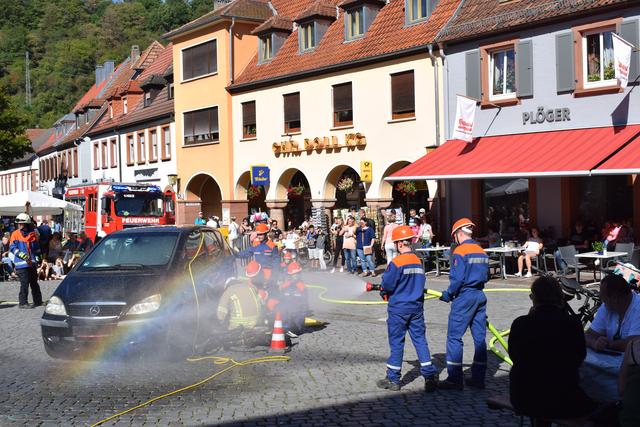 Die Jugendfeuerwehr bei ihrer Schauübung.  | Foto: Bender