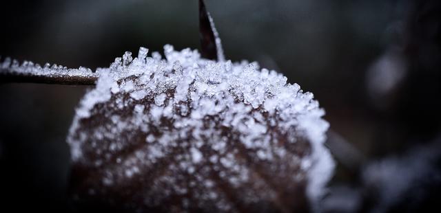 Februar 12 | Foto: Thomas Knauf