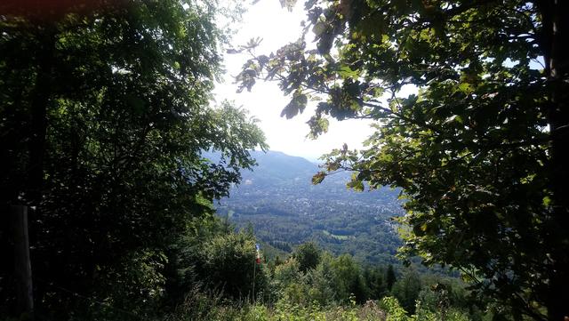 Blick vom Merkurberg | Foto: Kristin Hätterich