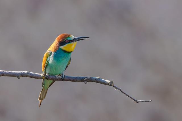 Mai 13 | Foto: Thomas Schimmele