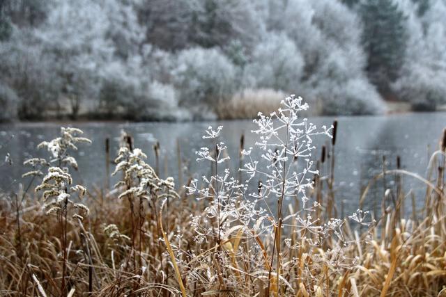 Dezember 1 | Foto: Sabine Schnur