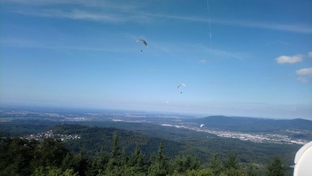 Blick vom Merkurberg | Foto: Kristin Hätterich