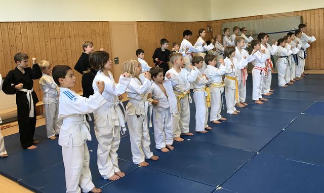 Prüfung des kihon (Grundschulen bzw grundlegende Techniken) | Foto: ps