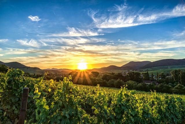 August 4 | Foto: Florian Schmadel