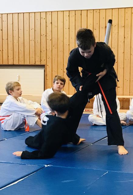 Ninja - Verteidigung gegen Waffen | Foto: ps