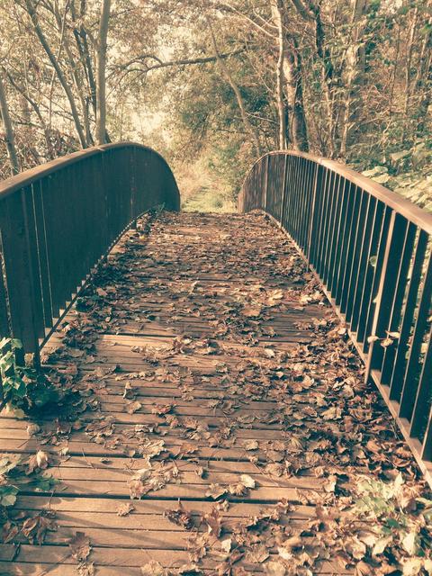 Oktober 8 | Foto: Sabrina Orth