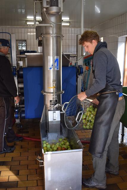 Zahlreiche Ehrenamtliche sind im Dienst. Hier werden die Äpfel in die "Waschanlage" gefüllt.  | Foto: B.Bender