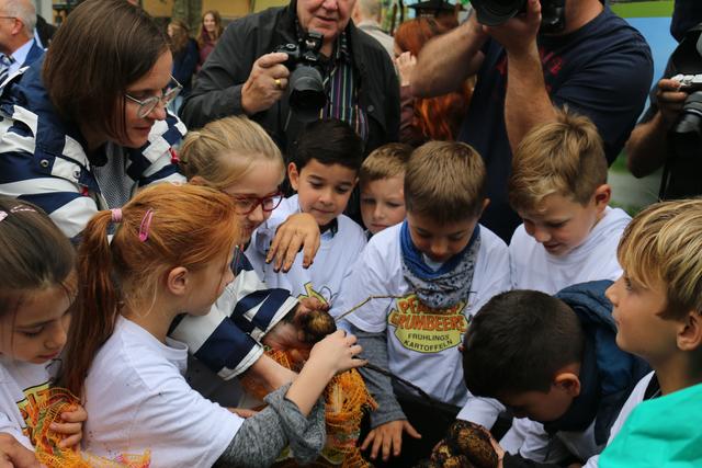 Foto: Gisela Böhmer