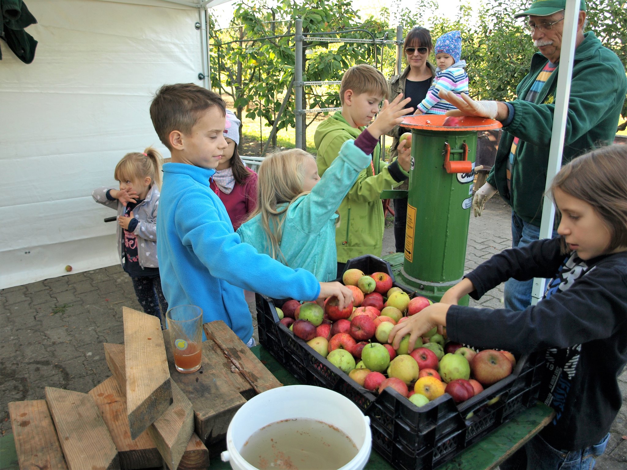Am 6. Oktober Apfeltag beim Gartenbauverein OberhausenRheinhausen