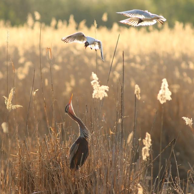 Foto: Fotoclub Mitglied Carolin Barth