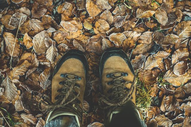 Foto: LUM3N/Pixabay