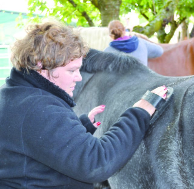 Verantwortung übernehmen, Aufgaben teilen: Bevor das Reiten beginnen kann, bürstet und streichelt Silke Hennings Therapiepferd Trixie. | Foto: Christmann/Lebenshilfe Südliche Weinstraße
