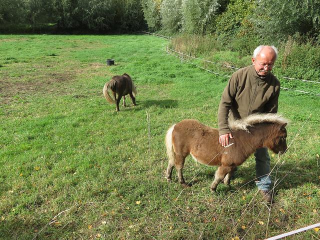 Hermanns mit seinem Fohlen | Foto: Brigitte Melder