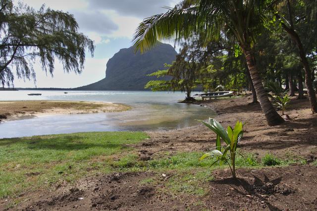 Das Surfparadies für Kitesurfer im Südwesten von Mauritius, Im Hintergrund der Berg Le Morne Braband mit 556 Meter Höhe. | Foto: Peter