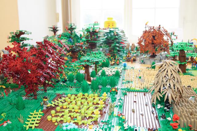 "Faszination Lego" im Bruchsaler Schloss | Foto: Heike Schwitalla