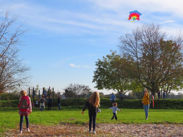 Drachen zähmen leicht gemacht | Foto: Brigitte Melder