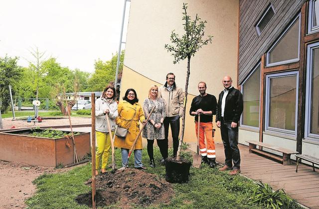 Brillenspendenaktion  für das Augenlicht-Programm. Pro 50 gesammelten Brillen wurde ein Obstbaum gepflanzt.  | Foto: ps