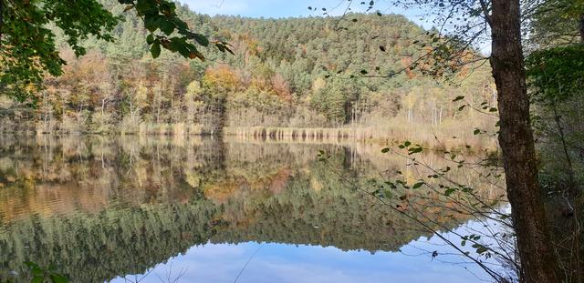 Farbintensive Spiegelung im Seehof-Weiher | Foto: Jens Vollmer