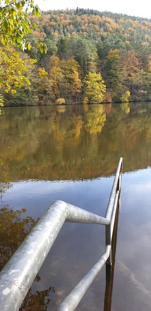 Im Sommer lädt der Seehof-Weiher auch zum Baden ein | Foto: Jens Vollmer